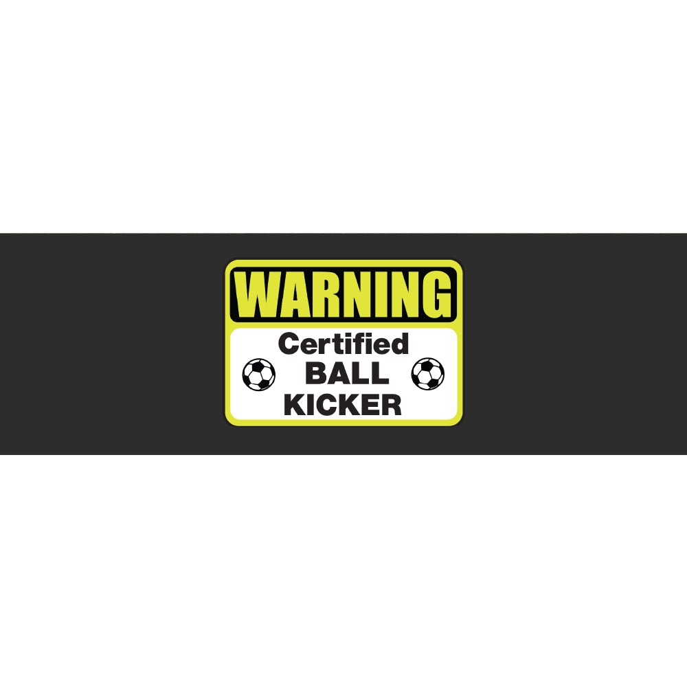 Certified Ball Kicker