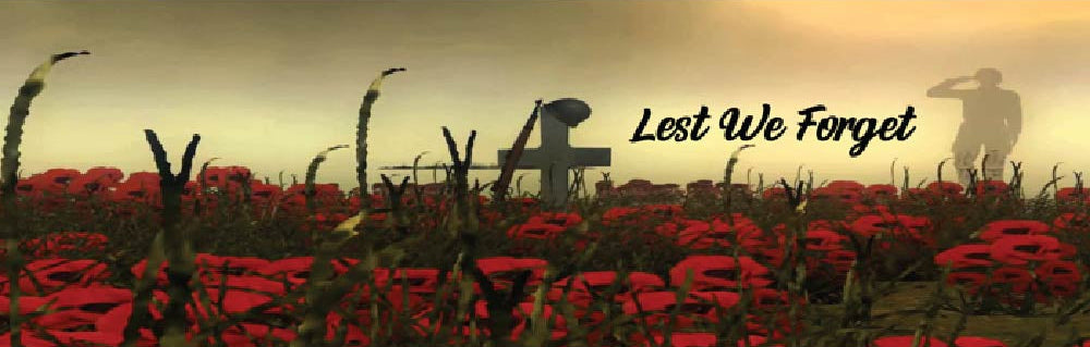Remembrance Day Poppy Field