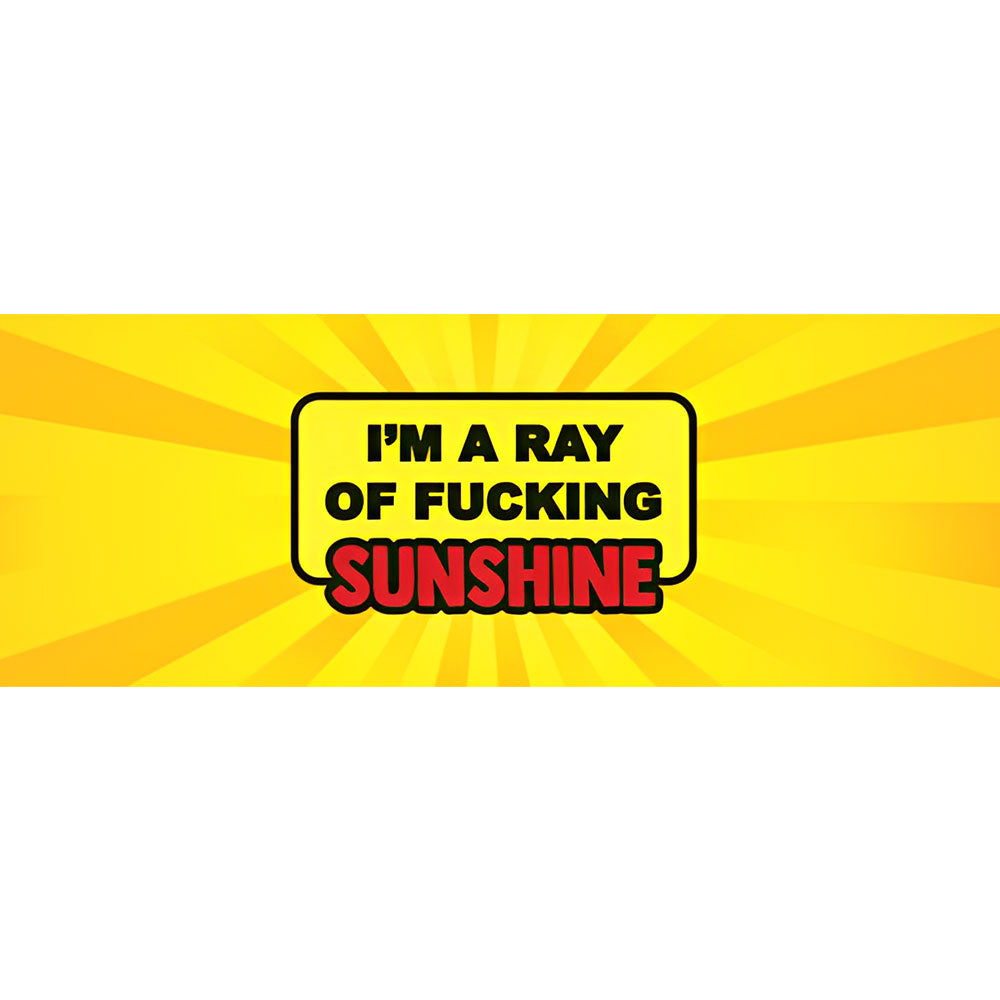 Ray Of Fucking Sunshine
