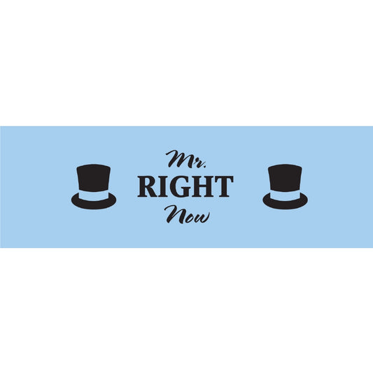 Mr Right Now