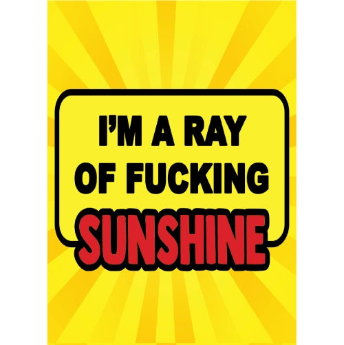 Ray Of Fucking Sunshine