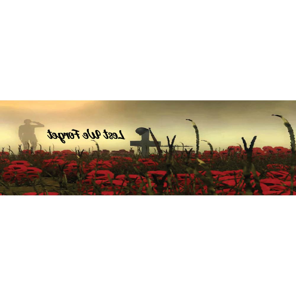 Remembrance Day Poppy Field