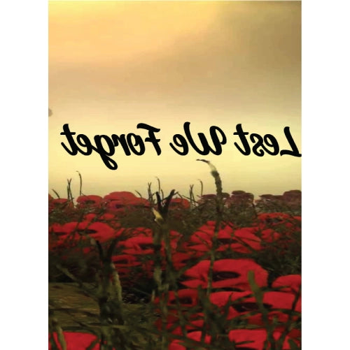 Remembrance Day Poppy Field