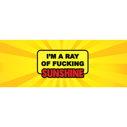 Ray Of Fucking Sunshine